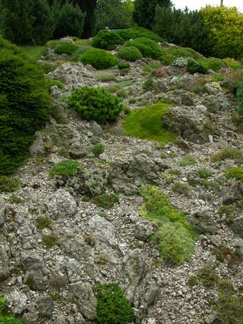 Каменистый сад из гранита