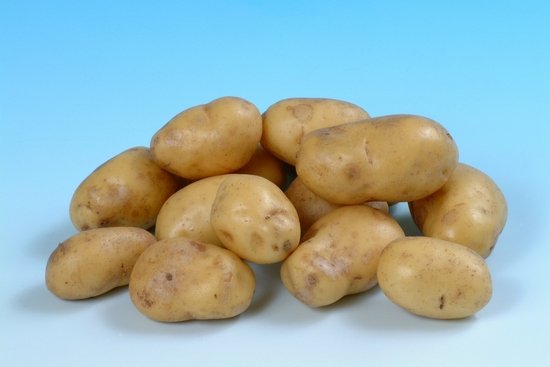 Выбор сортов картофеля